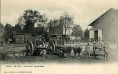 Bazas - Château Darrowman