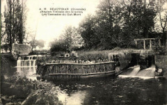 Beautiran - le Gat-mort 5 -
													33 Gironde
												