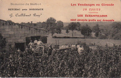 Beychac - vendanges 1 -
													33 Gironde
												