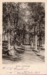 Blaye - Les promenades
