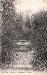 Bouliac Chemin de brousse 1