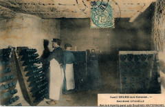 Bourg - Travail vinicole 1