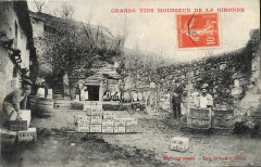Bourg - Travail vinicole 4