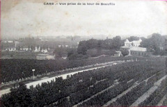 Cars - vue générale 8