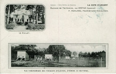 Cestas - aviculteur