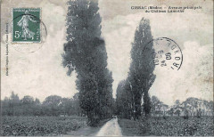 Cissac - château Lamothe 6 -
													33 Gironde
												