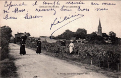 Cissac - vue générale 1