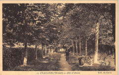 Etauliers - allées d'Amour 1