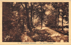 Etauliers - allées d'Amour 2