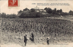 Fronsac - château du Tertre 2 -
													33 Gironde
												