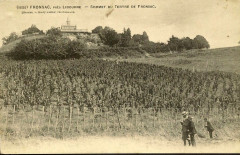Fronsac - château du Tertre 3