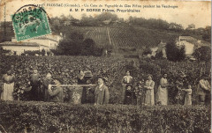 Fronsac - château Piffon 2 -
													33 Gironde
												
