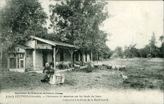 Guîtres - bords du Lary 4