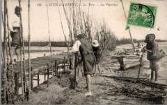 La Teste-de-Buch - Parc aux huitres 3