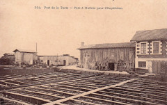 La Teste-de-Buch - Parc aux huitres 8
