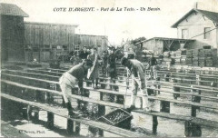 La Teste-de-Buch - Parc aux huitres 9