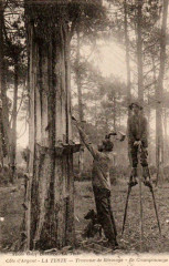 La Teste-de-Buch - Travail des résiniers 1