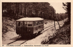 Lacanau-Océan - tram dans le forêt