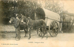 Landes - Attelages de mules - Lou Bros b