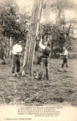 Landes - Cueillette de la Résine 3b