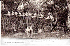 Landes Chasseurs de palombes Les appeaux