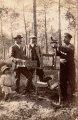 Saint-Paul-les-Dax Pose d'un appeau 1910