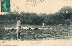 Landes - Berger - échassier 1