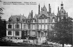 Rilly Chateau des rozais 1005401 -
													51 Marne
												