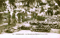 Cavaillon Marché aux melons -
													84 Vaucluse
												