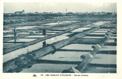 Les Sables-d'Olonne-Fr-85-marais salants-1