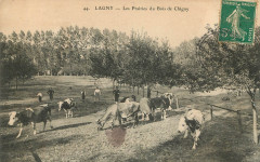 L2243 - Lagny-sur-Marne - Bois de Chigny