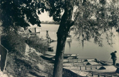 L2469 - Lagny-sur-Marne - Bords de Marne