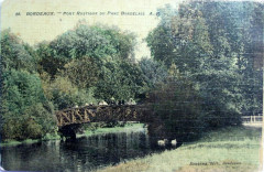 Parc Bordelais - La rivière 5 à Bordeaux
