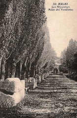 Arles Alyscamps allée des tombeaux