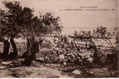 Cassy - Les tamaris et la plage
