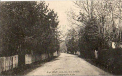 Taussat-les-bains - La grande Allée