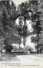 Le Porge - Les Ormeaux 1