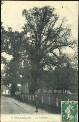 Le Porge - Les Ormeaux 2