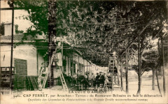 Cap-Ferret - Restaurant Bélisaire