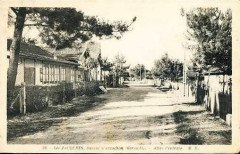 Les Jacquets - avenue centrale 1