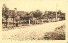 Les Jacquets - avenue centrale 2