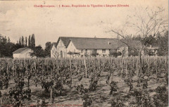 Léognan - vignobles Ricard 1