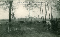 Noaillan - château de Noaillan