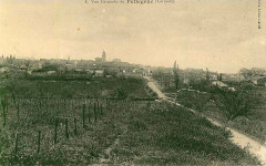 Pellegrue - vue générale 4