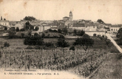 Pellegrue - vue générale 5