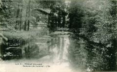 Pessac - domaine de Cardinal
