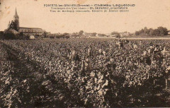 Portets - château Lagueloup 1