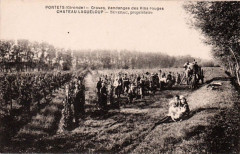 Portets - château Lagueloup 2