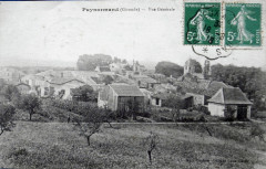 Puynormand - vue générale
