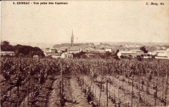 Quinsac - vue générale 1
